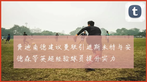 费迪南德建议曼联引进斯米特与安德森等英超经验球员提升实力